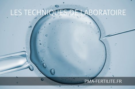 LES TECHNIQUES DE LABORATOIRE