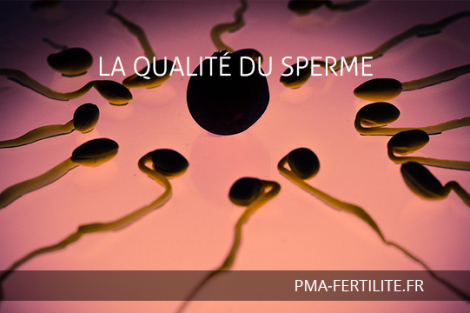 LA-QUALITE-DU-SPERME