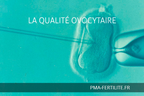 LA QUALITÉ OVOCYTAIRE